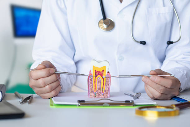 Best Pediatric Emergency Dentist in Vassar, MI